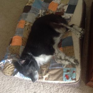 Meet your Posher, Joy